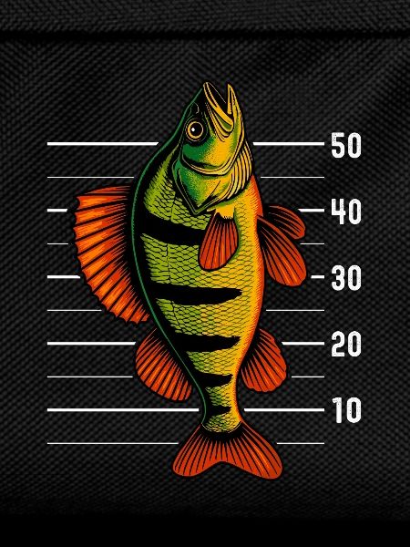 Perch Perch Perch Perch Bait