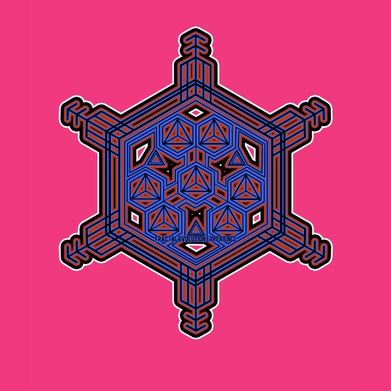 Fractal Evolution Experience Star Hexagon Pattern