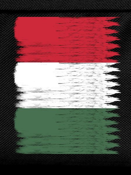 Hungary Flag Map