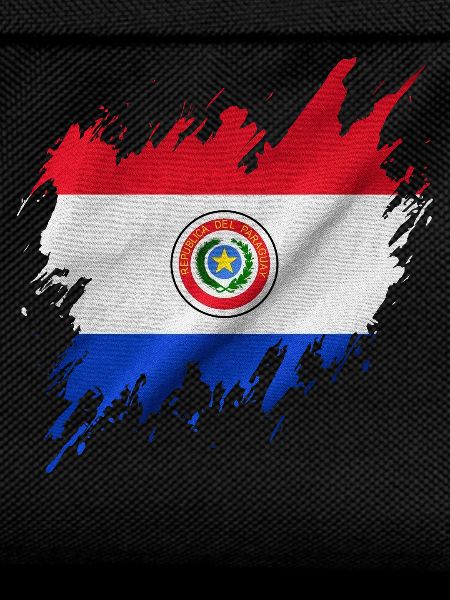 Paraguay flag, torn style