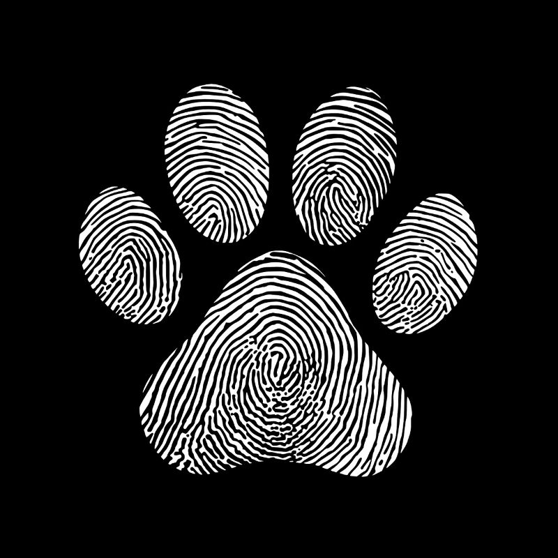 Cat Animal Lover Illustration Dog