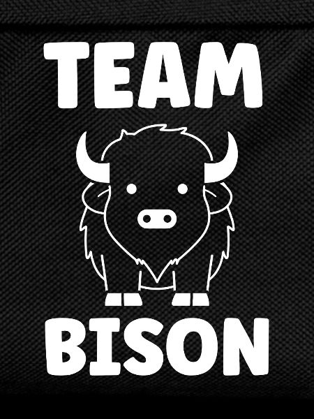 Bison