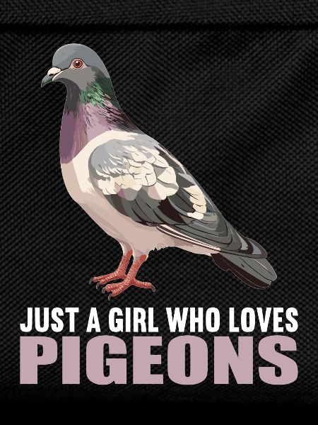 Pigeons Pigeon