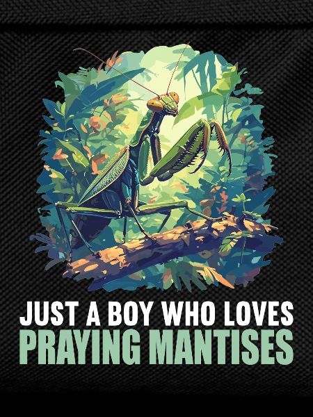 Praying mantises Praying mantis
