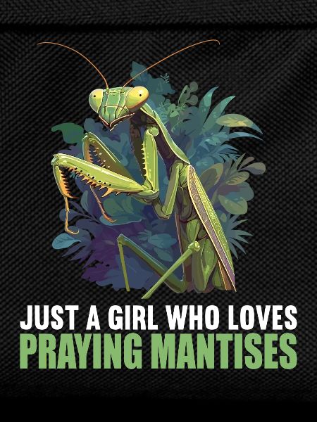 Praying mantises Praying mantis