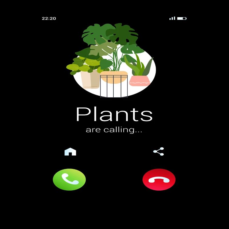 Plants Are Calling Plant Lover