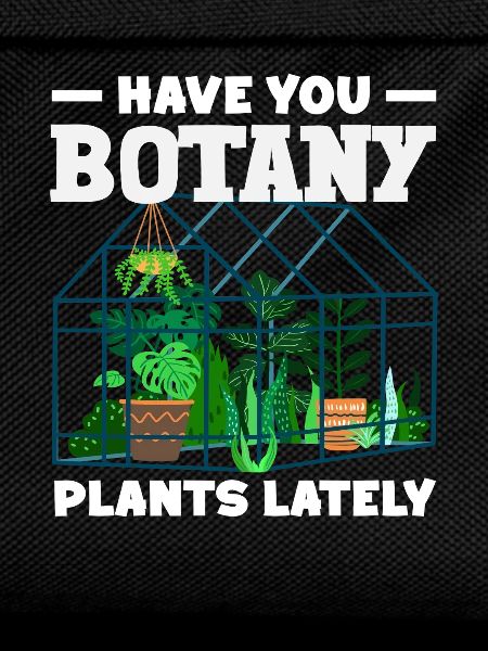 Plant Lover Botany Plants Succulent