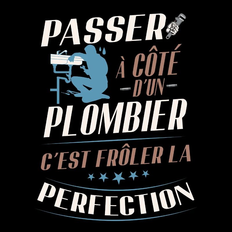 Humor Plumber Verging on Perfection