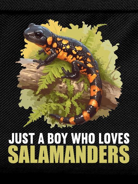 Fire Salamander Salamander