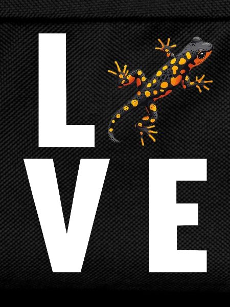 Fire Salamander Salamander