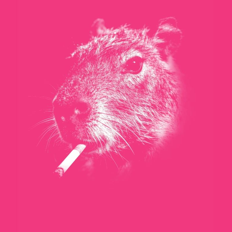 Rauchen, Zigarette, Capybara raucht eine Zigarette