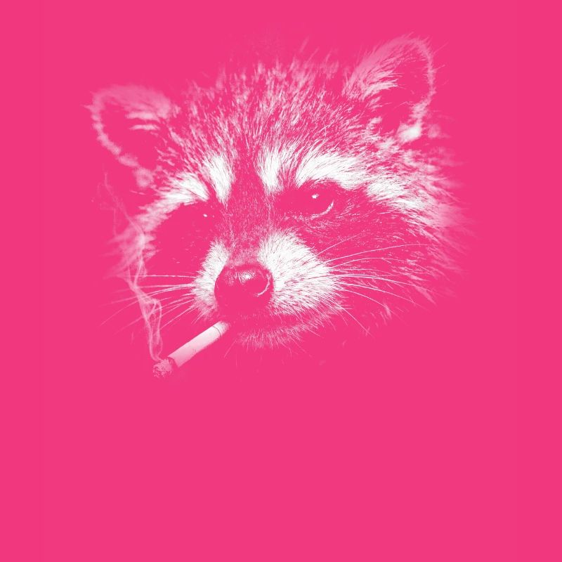 Smoking, cigarette, raccoon smoking a cigarette