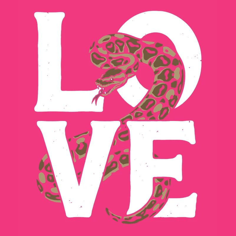 Königspython Schlangen LOVE Terrarium Python