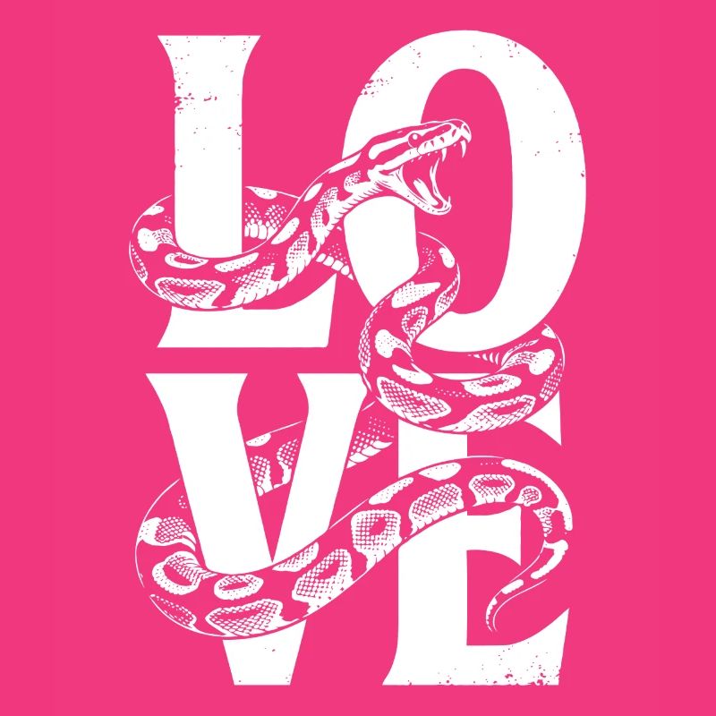 Les serpents rois Python ADORENT les pythons de terrarium