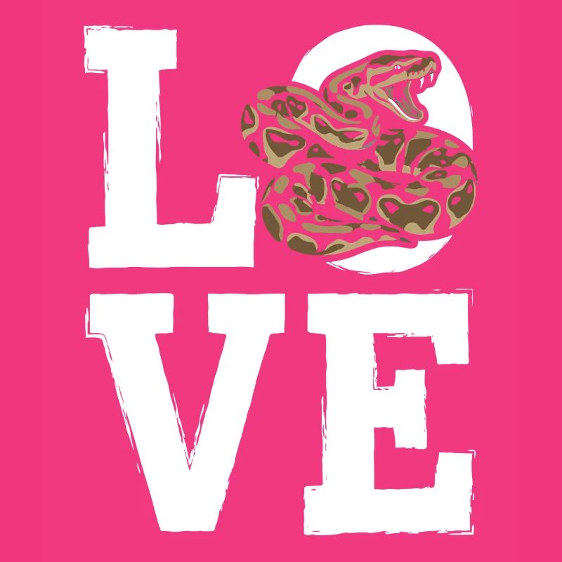 Königspython Schlangen LOVE Terrarium Python