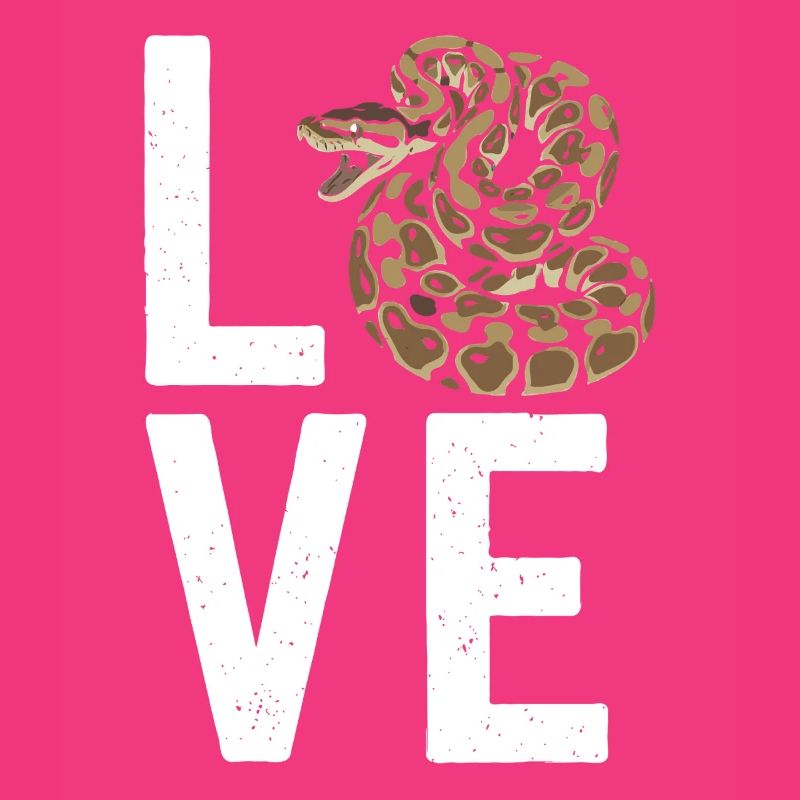 Königspython Schlangen LOVE Terrarium Python