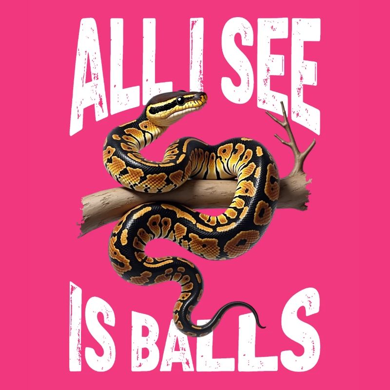 Königspython Schlangen Liebhaber Terrarium Python