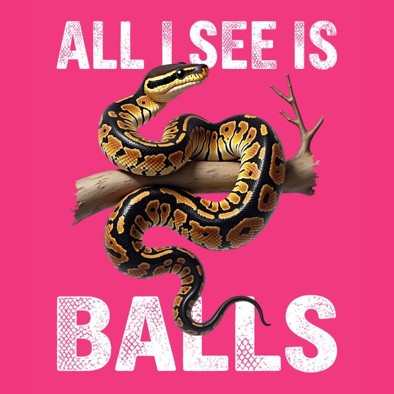 Königspython Schlangen Liebhaber Terrarium Python