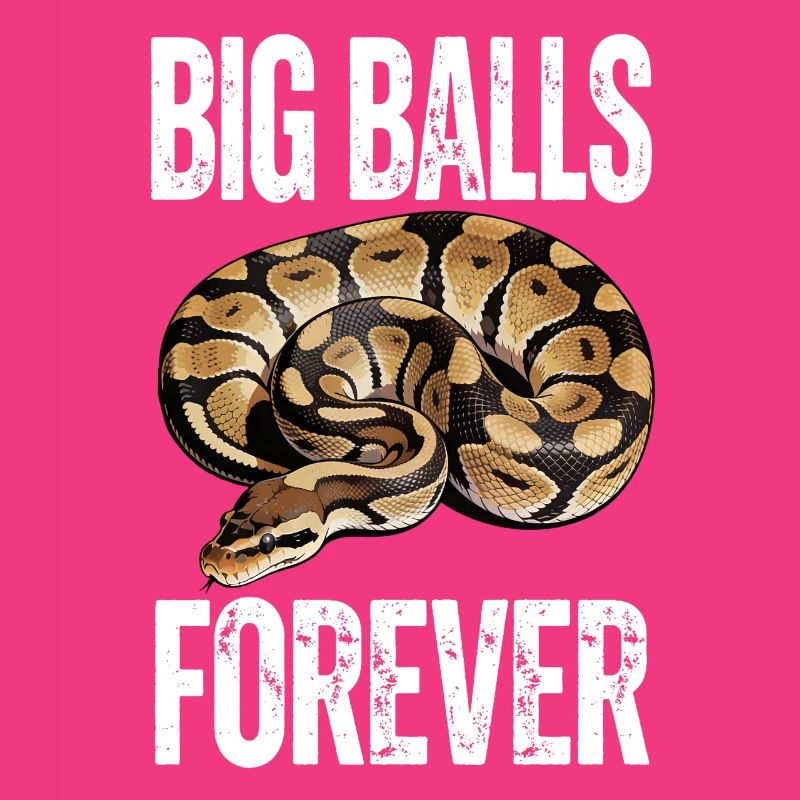 Python roi Serpents Amateurs de terrarium Python