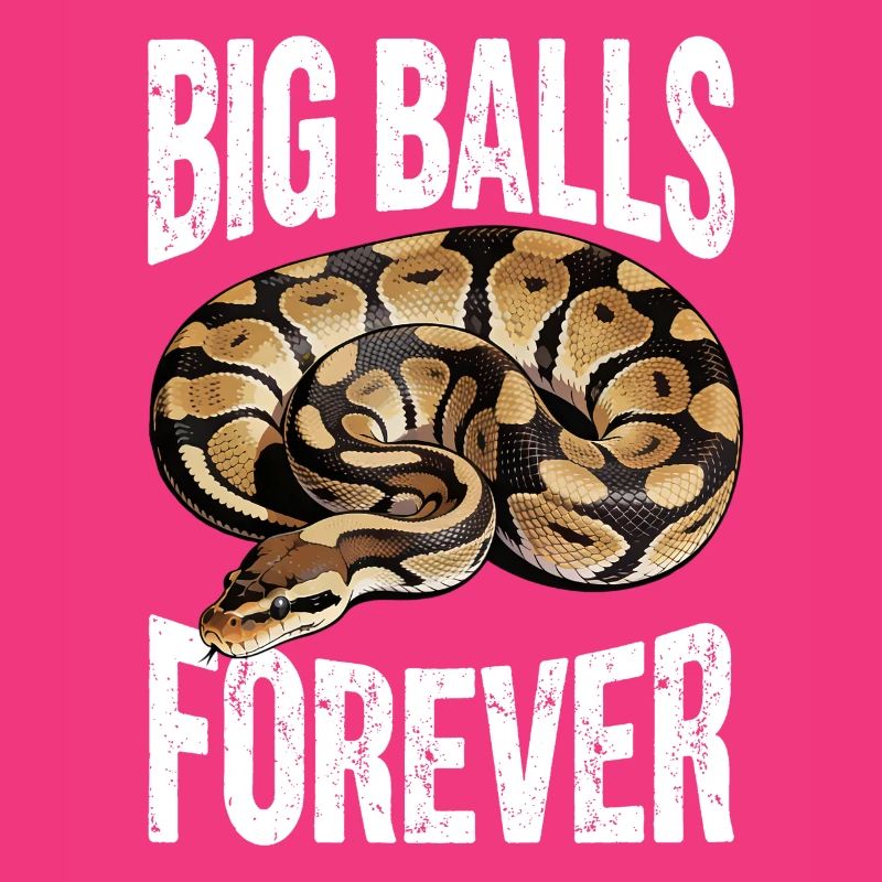 King Python Snakes Lover Terrarium Python