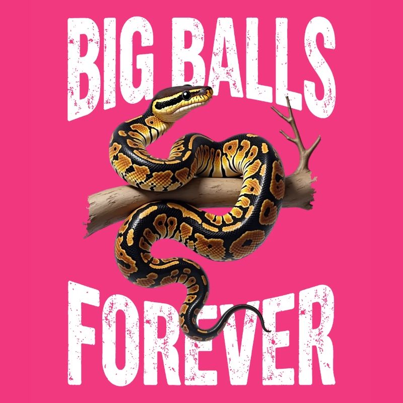 King Python Snakes Lover Terrarium Python