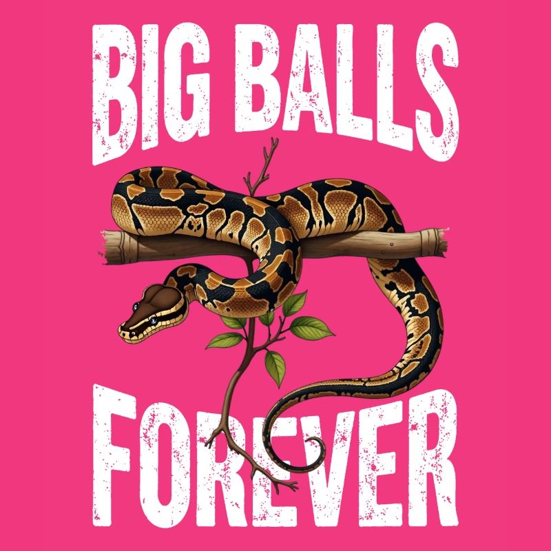 Python roi Serpents Amateurs de terrarium Python