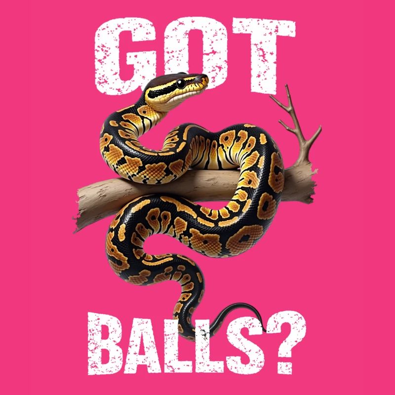 King Python Snakes Lover Terrarium Python