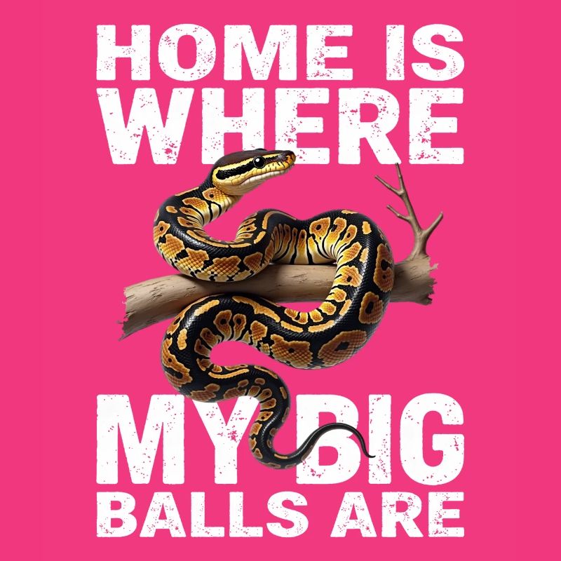 Python roi Serpents Amateurs de terrarium Python