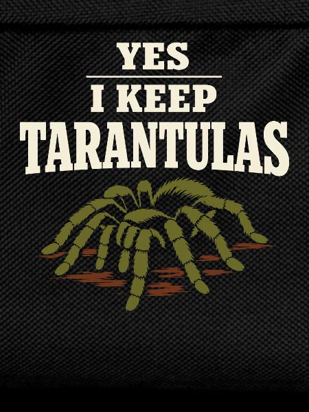 Tarantula Tarantula Holder Spider Owner