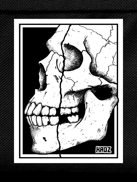 Broken Skull Portrait