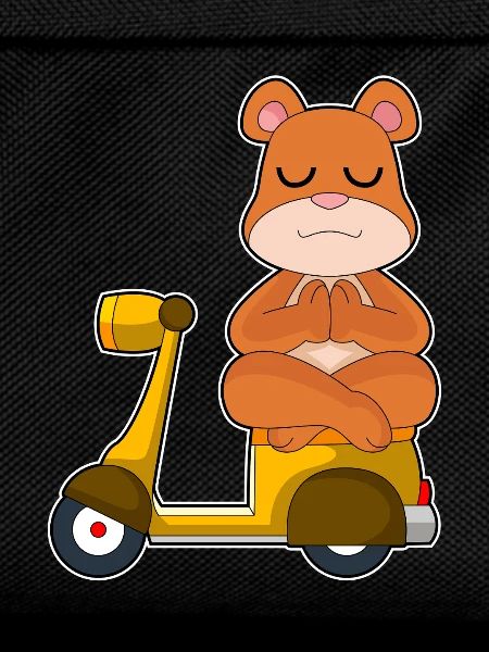 Bär Scooter