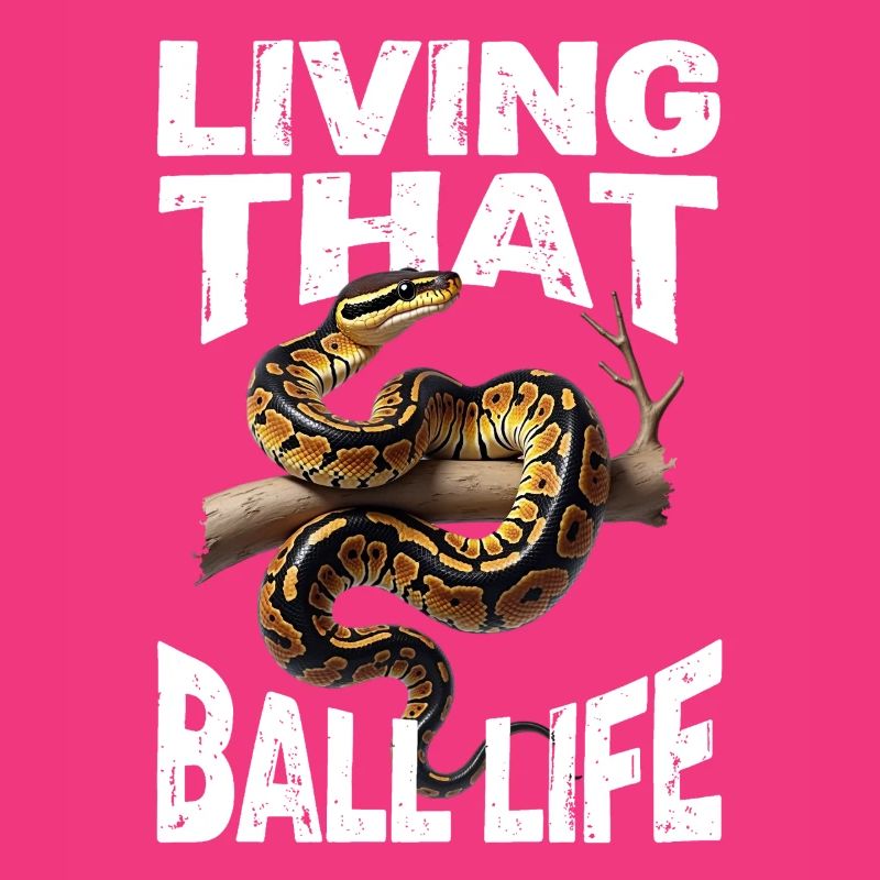 Königspython Schlangen Liebhaber Terrarium Python