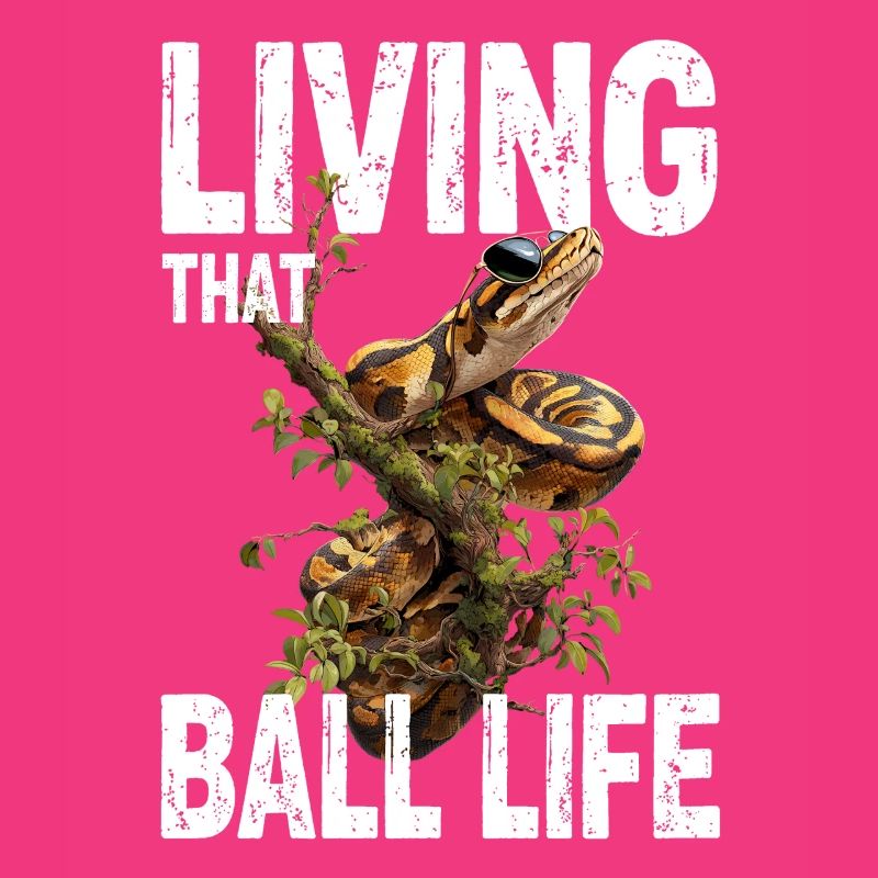 Königspython Schlangen Liebhaber Terrarium Python