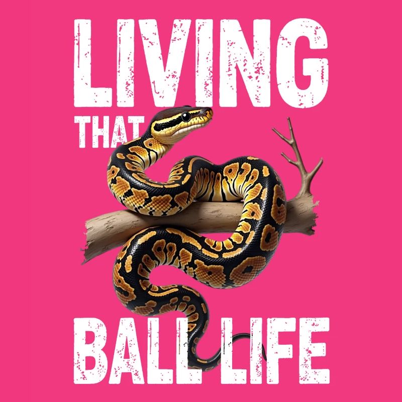 Python roi Serpents Amateurs de terrarium Python