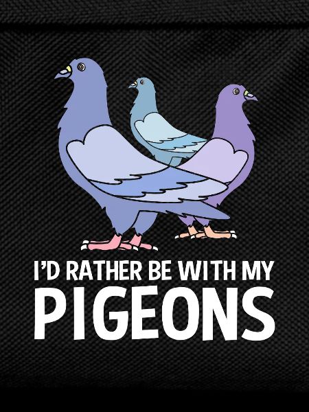 Pigeons Pigeon
