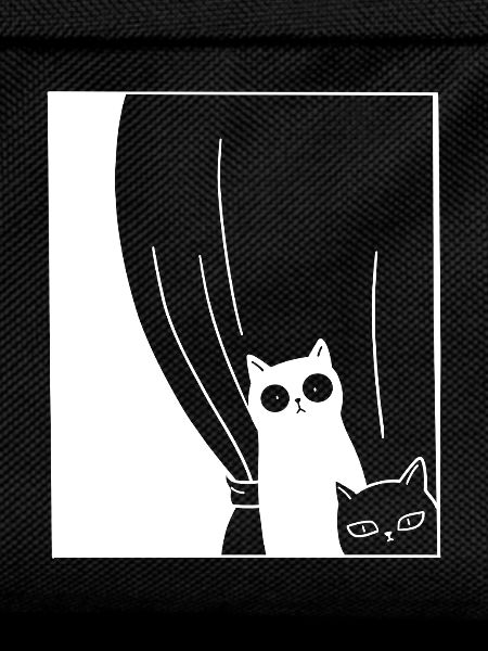 Black and White Cats