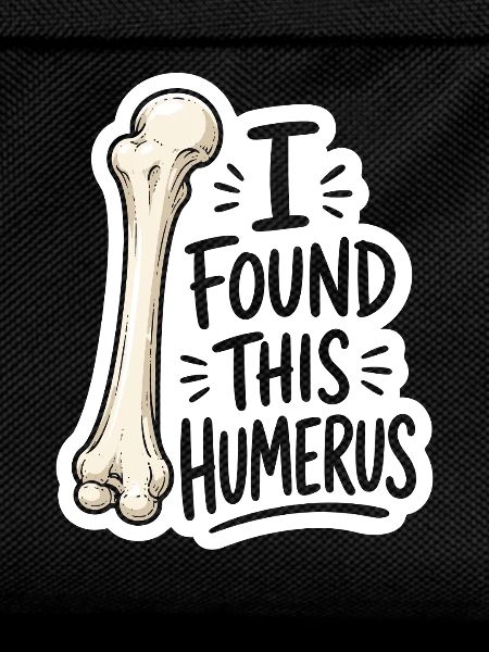 Humerus Discovery Sticker