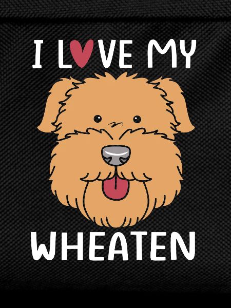 Wheaten Terrier