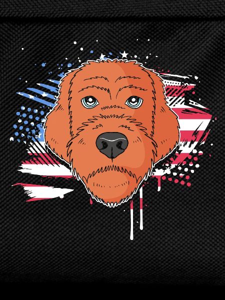 Chien Griffon