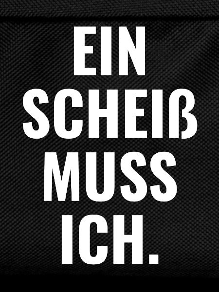 Ein Scheiß Muss Ich