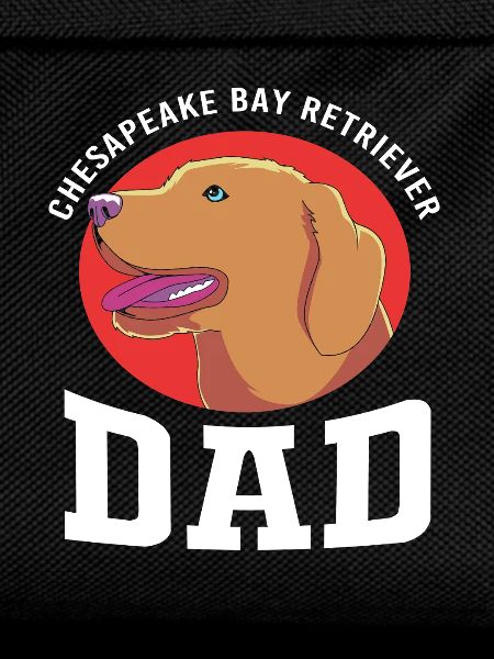 Chesapeake Bay Retriever