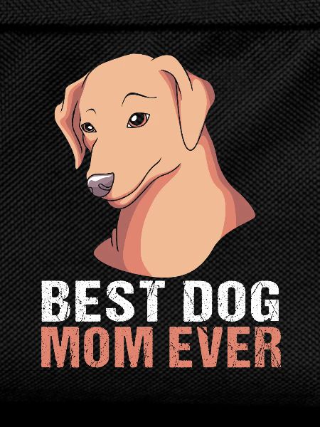 Chesapeake Bay Retriever