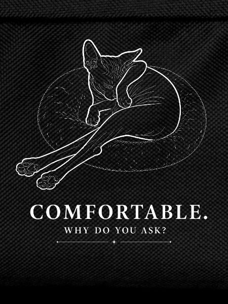 Sphynx Cat – Comfortable