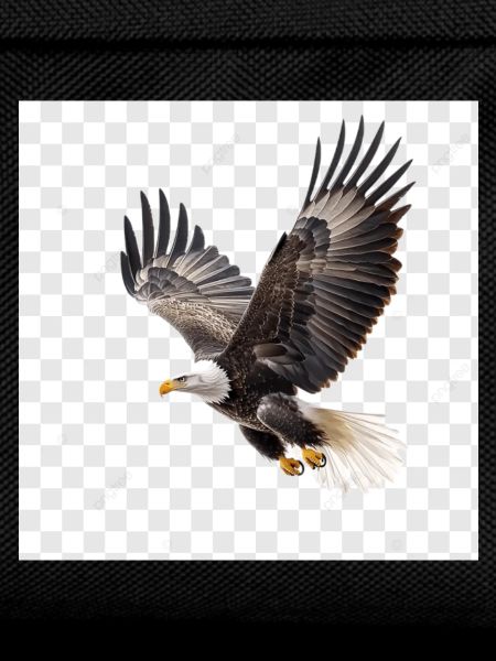 Flying Eagle Majestic Flight