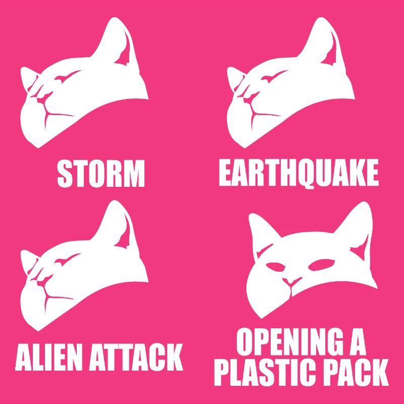 Cat - selective perception - saying