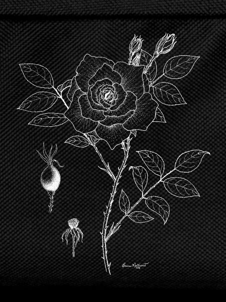 Rose Botanical Plate