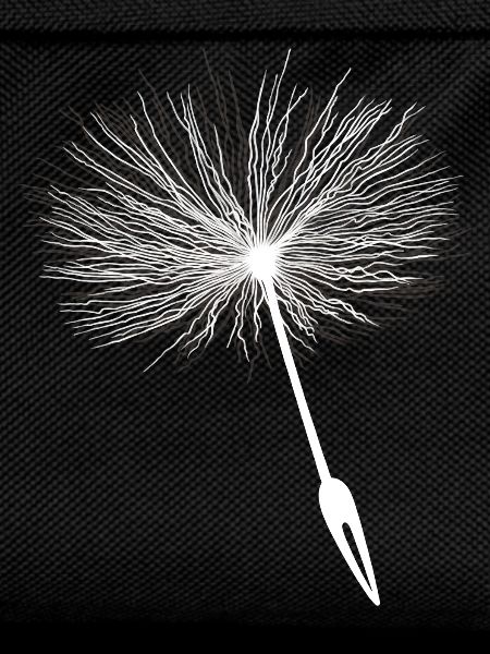 Loewenzahn Samen Pusteblume