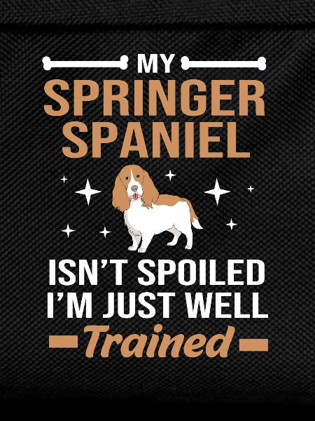 Springer Spaniel
