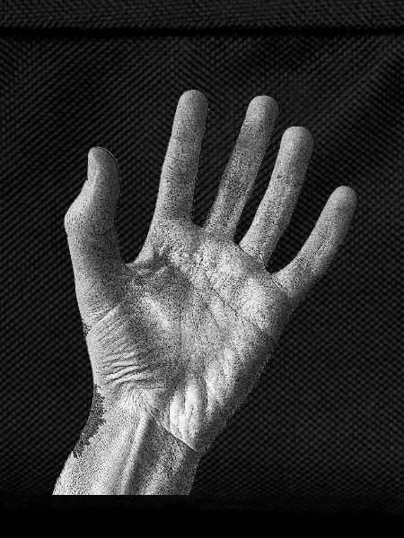 Black and white palm