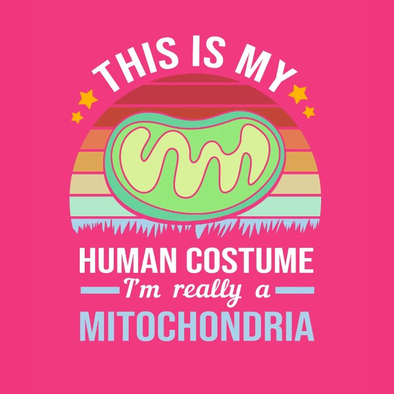 Formule structurelle de la molécule